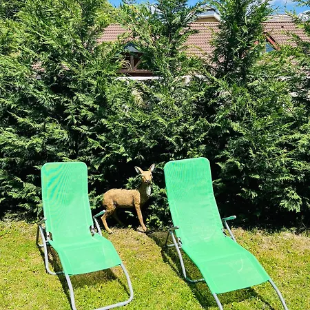 Zara Apartment Dobra Voda