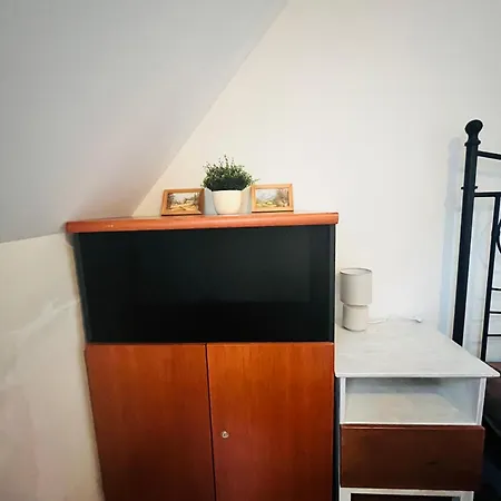 Zara *