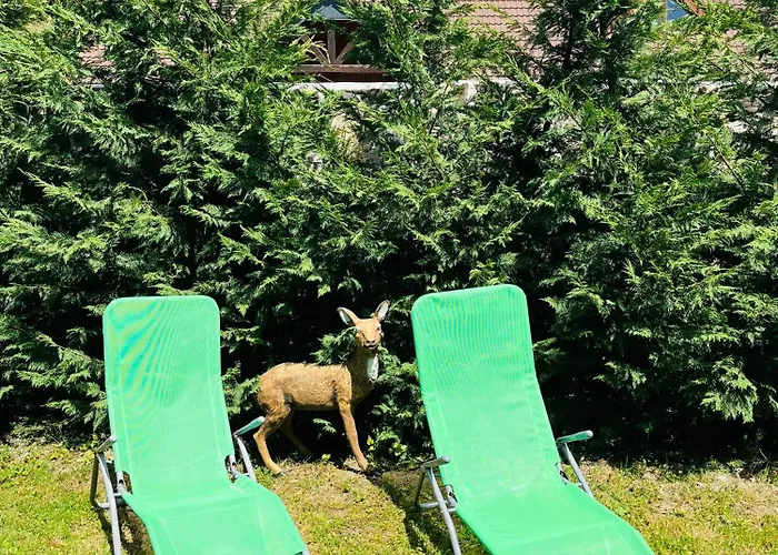 Zara Apartman Jókő